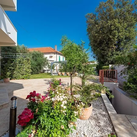 Zen Luxury * Ζαντάρ